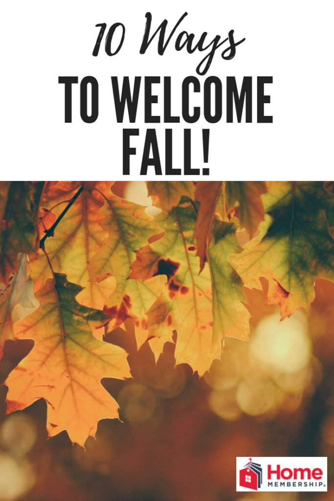 Here are 10 fun things to do this fall with your family, kids and friends. Get a few things crossed off your bucket list!