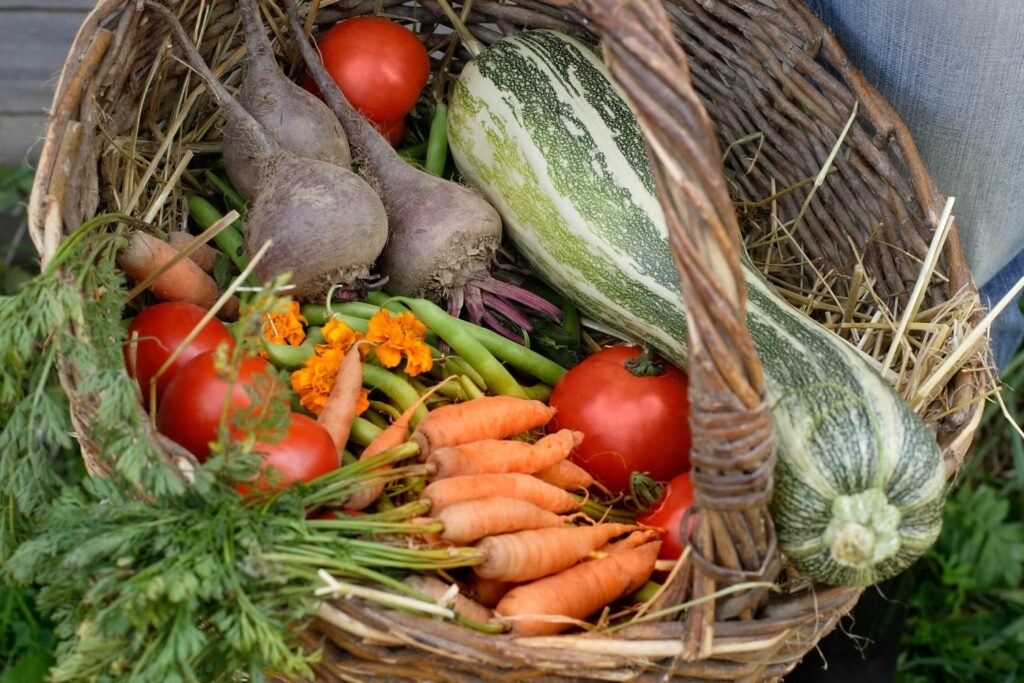 If you household creates too much waste, or you are just looking for ways to cut back - check out 5 Easy Ways to Have a More Sustainable Home.