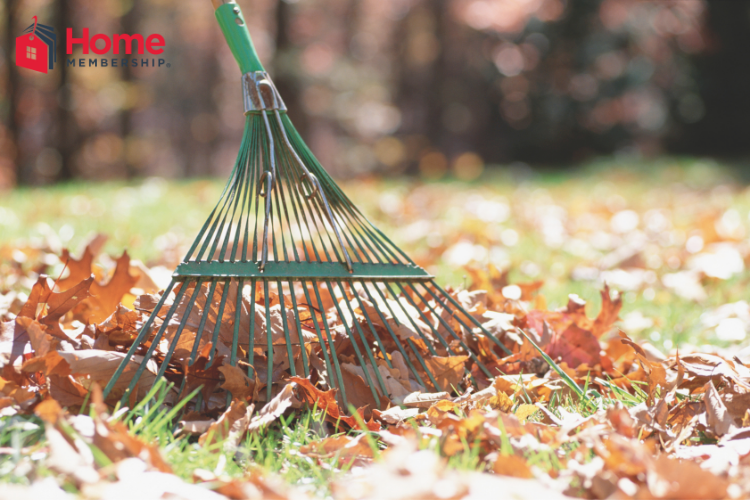 Cooler weather means it's a great time to check out these Lawn Maintenance Tips For Fall! Your grass will be amazing! Cooler weather means it's a great time to check out these Lawn Maintenance Tips For Fall! Your grass will be amazing!
