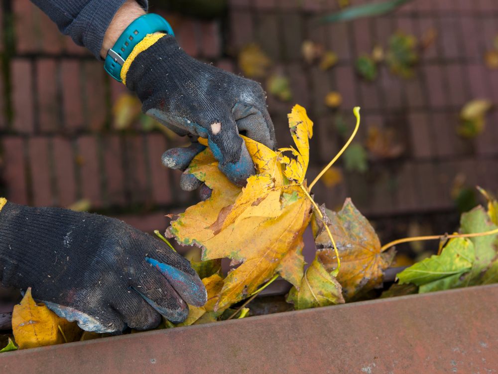 Cleaning your gutters is an important home maintenance task. Check out these tips about how To clean the gutters on your home without a ladder.