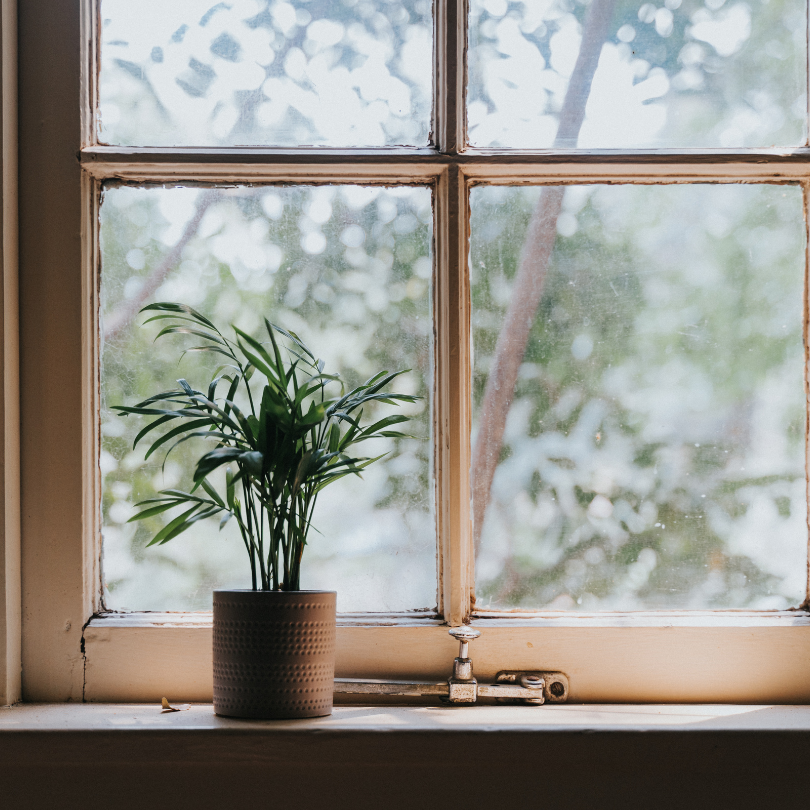 These DIY pest control ideas can help you keep the pests away without resorting to harsh and potentially dangerous chemicals in your home.