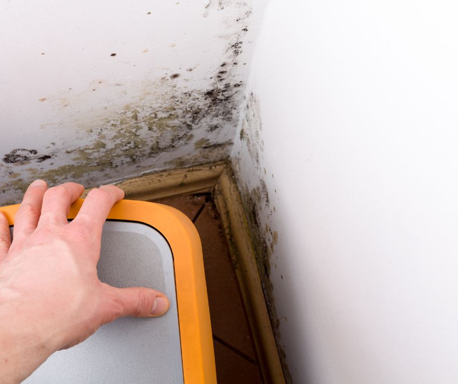 When you own a home with a basement, you'll need to be on the lookout for any mold problems. Plus How To Clean Mold In Basements.