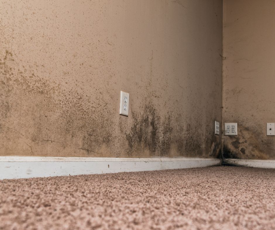 When you own a home with a basement, you'll need to be on the lookout for any mold problems. Plus How To Clean Mold In Basements.