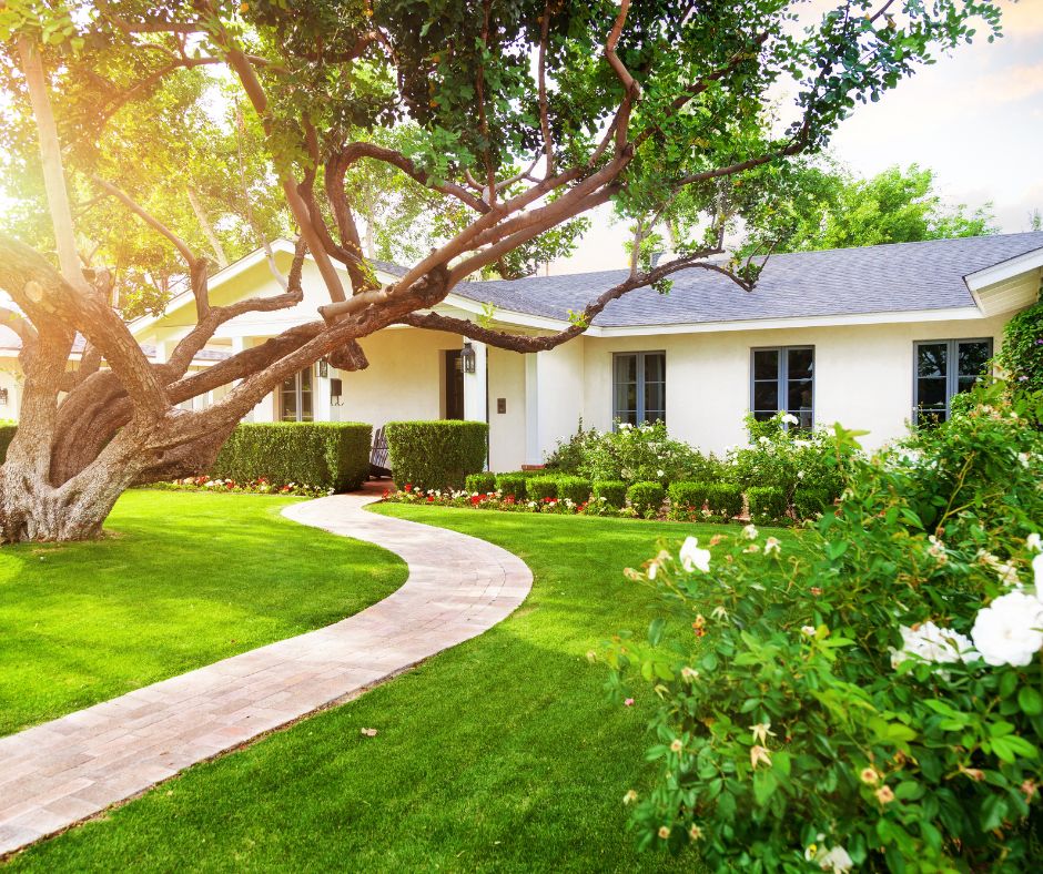 Do you have bare dirt that you want to cover up on a budget? We can help you with our 12 Cheap Ways to Cover Dirt in Your Backyard!