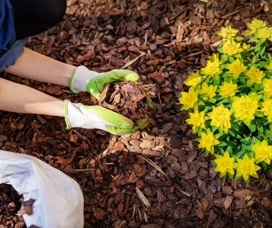 Do you have bare dirt that you want to cover up on a budget? We can help you with our 12 Cheap Ways to Cover Dirt in Your Backyard!