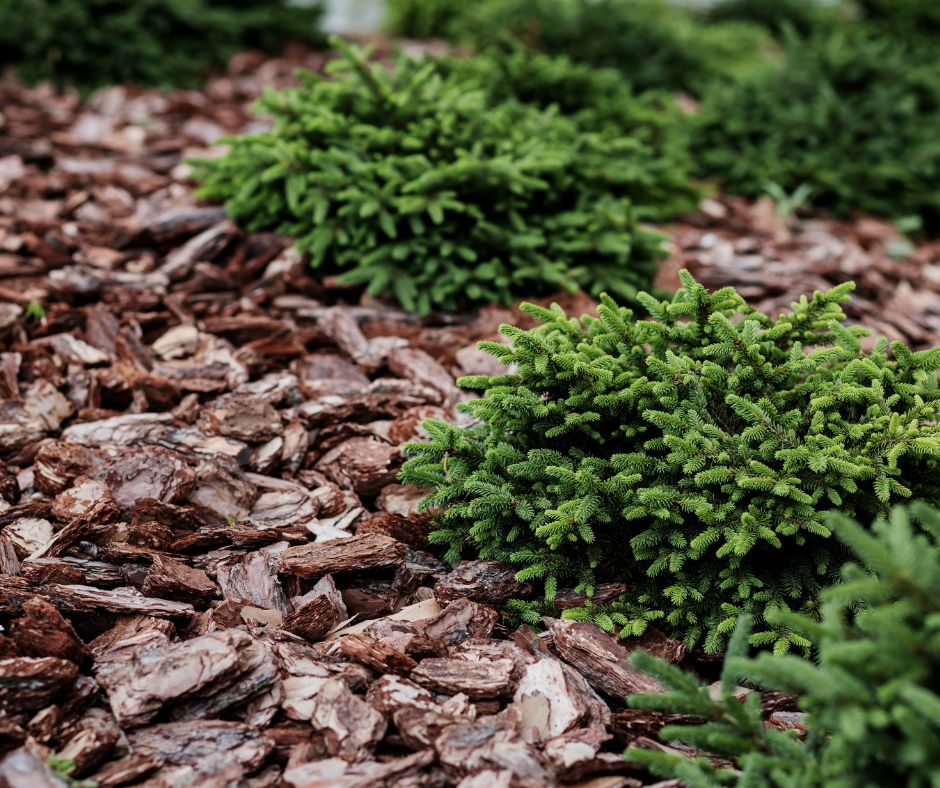 Do you have bare dirt that you want to cover up on a budget? We can help you with our 12 Cheap Ways to Cover Dirt in Your Backyard!