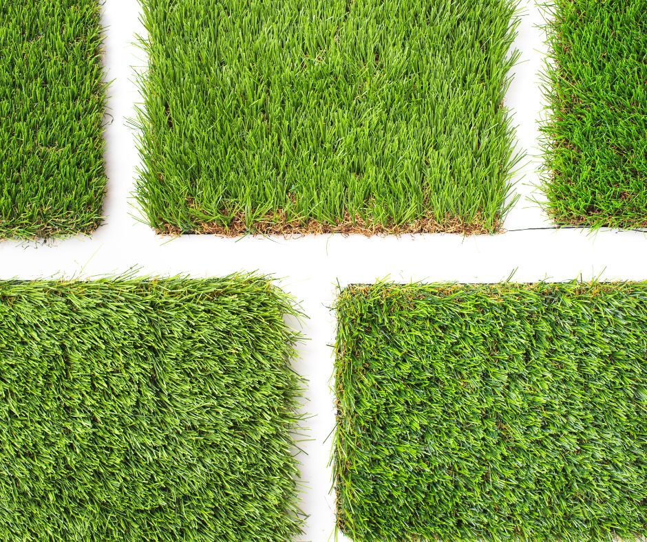 Are you wondering when is the best time to fertilize your lawn? Check out this seasonal guide to help you have the best lawn!