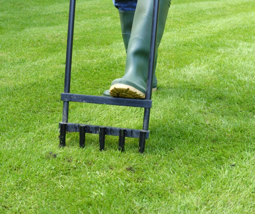 When you Aerate Your Lawn at the right time of year it will help you grow a beautiful lawn. Check out these tips!