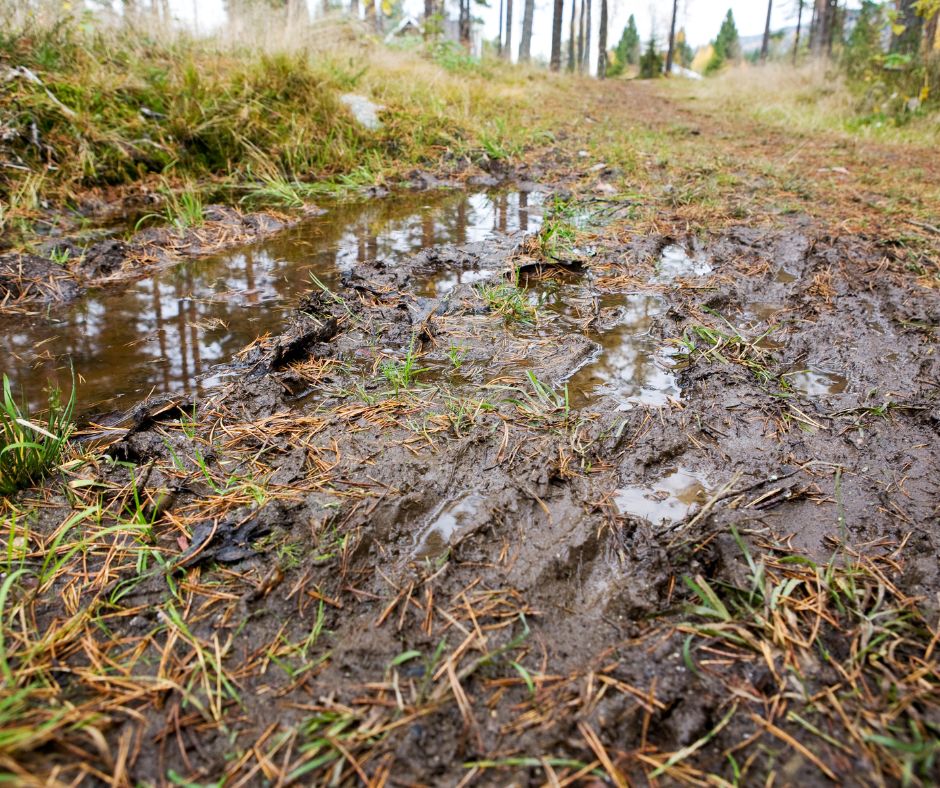 Whether you're dealing with a muddy yard, there are plenty of practical solutions to restore your outdoor space.