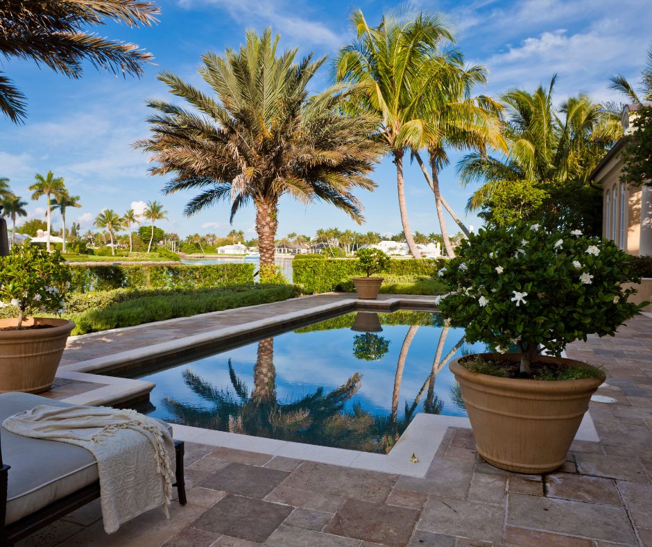 Looking for the best tress to plant around a pool? Thoughtful poolside planting is the best way to enhance your oasis.
