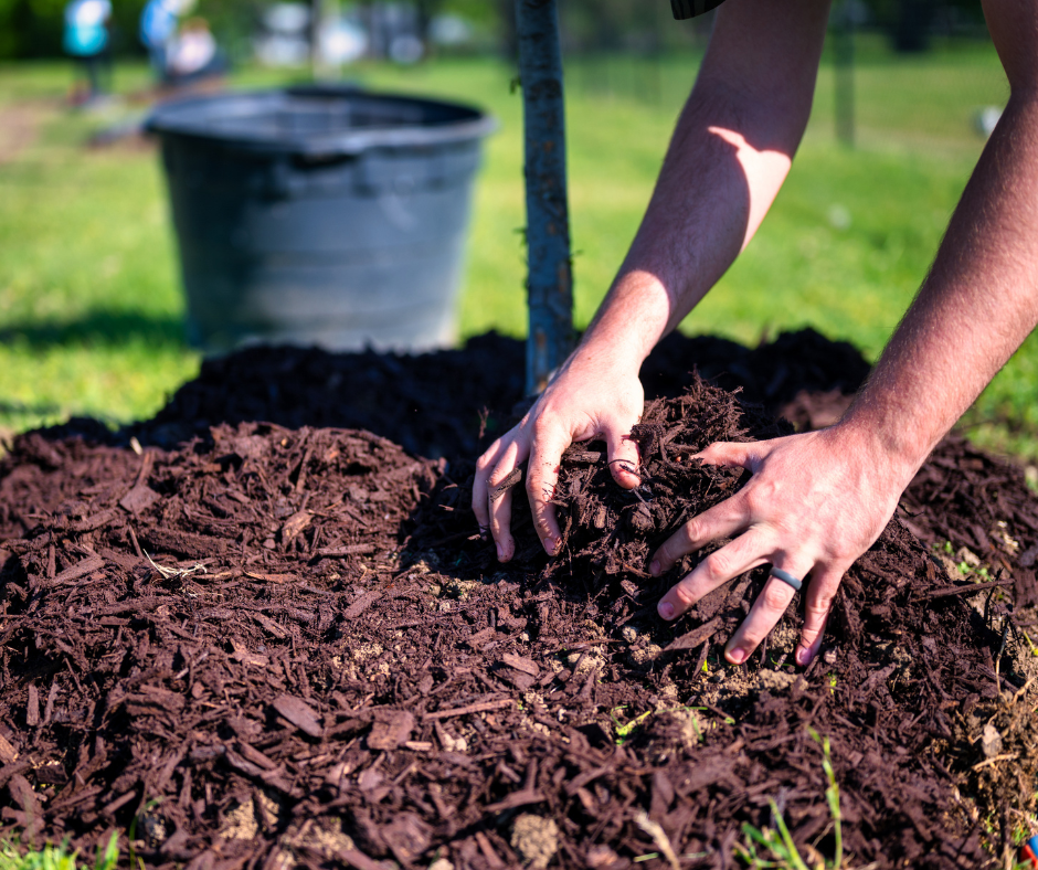 When done correctly, mulching isn't just a good idea—it's the secret weapon to a healthy lawn, fewer unwanted weeds, and better times ahead in your garden.