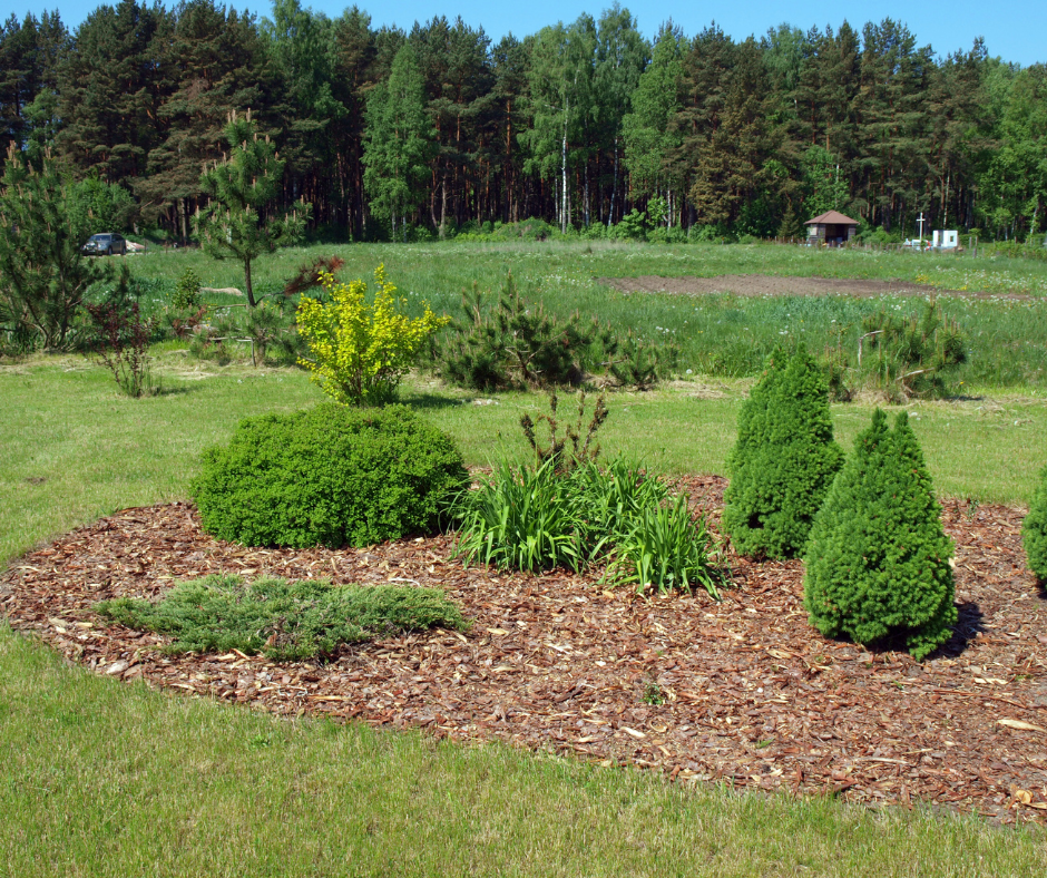 When done correctly, mulching isn't just a good idea—it's the secret weapon to a healthy lawn, fewer unwanted weeds, and better times ahead in your garden.