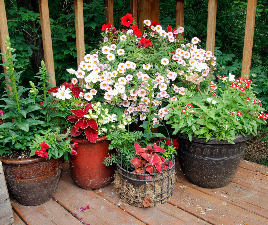 Explore these landscaping ideas in Texas to discover drought-tolerant landscaping solutions ideal for the state's climate