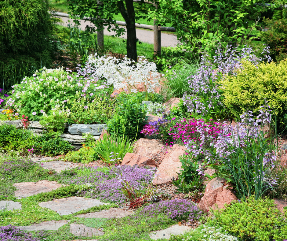 Explore these landscaping ideas in Texas to discover drought-tolerant landscaping solutions ideal for the state's climate
