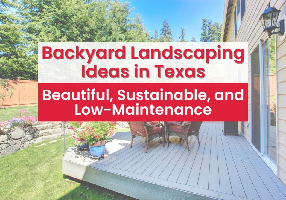 Explore these landscaping ideas in Texas to discover drought-tolerant landscaping solutions ideal for the state's climate