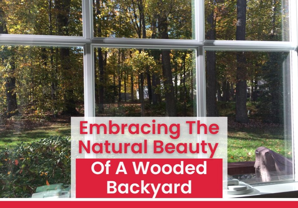 Creating a beautiful, functional, wooded backyard can transform your outdoor space into a peaceful retreat.
