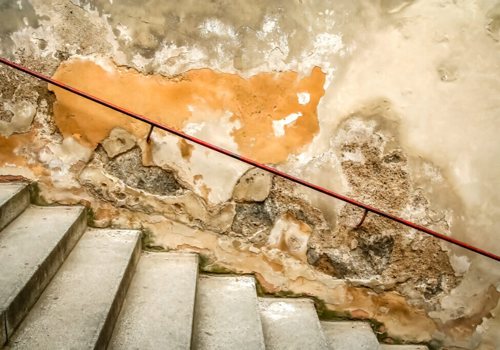 prevent mold in basements