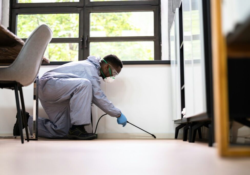 Get Rid of Pests, Naturally! Learn about natural repellents, DIY solutions, and preventative measures to keep your home safe.