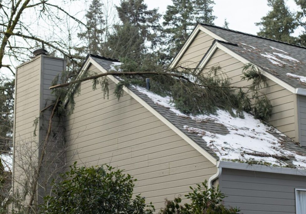 home winter damage