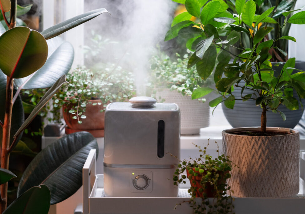 Discover effective tips to improve indoor air quality, from ventilation to humidity control, for a healthier living space for your family.