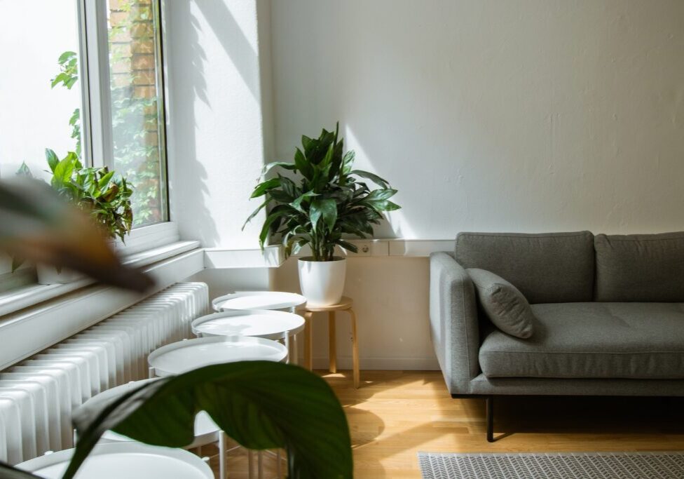 rental property